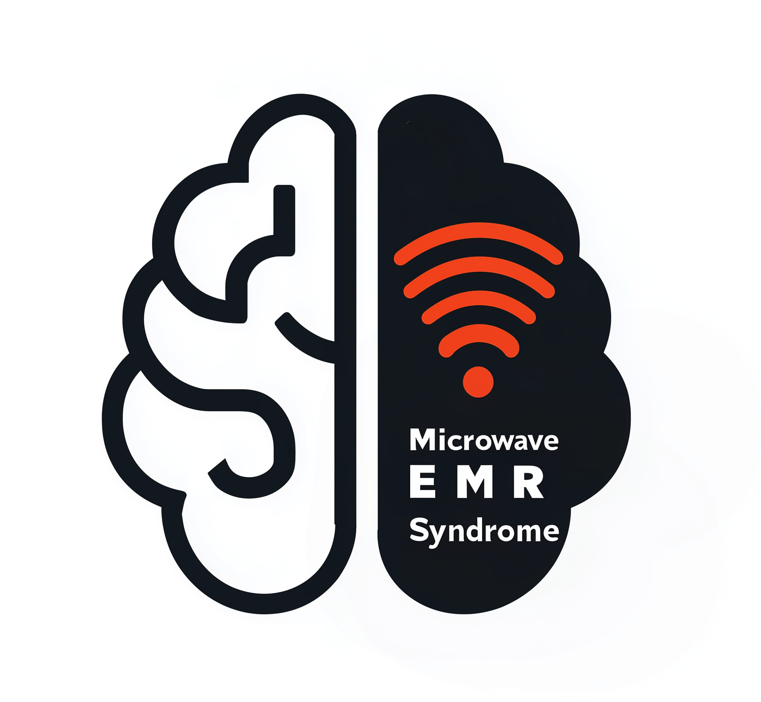 EMR Syndrome. EMR Syndrome Logo