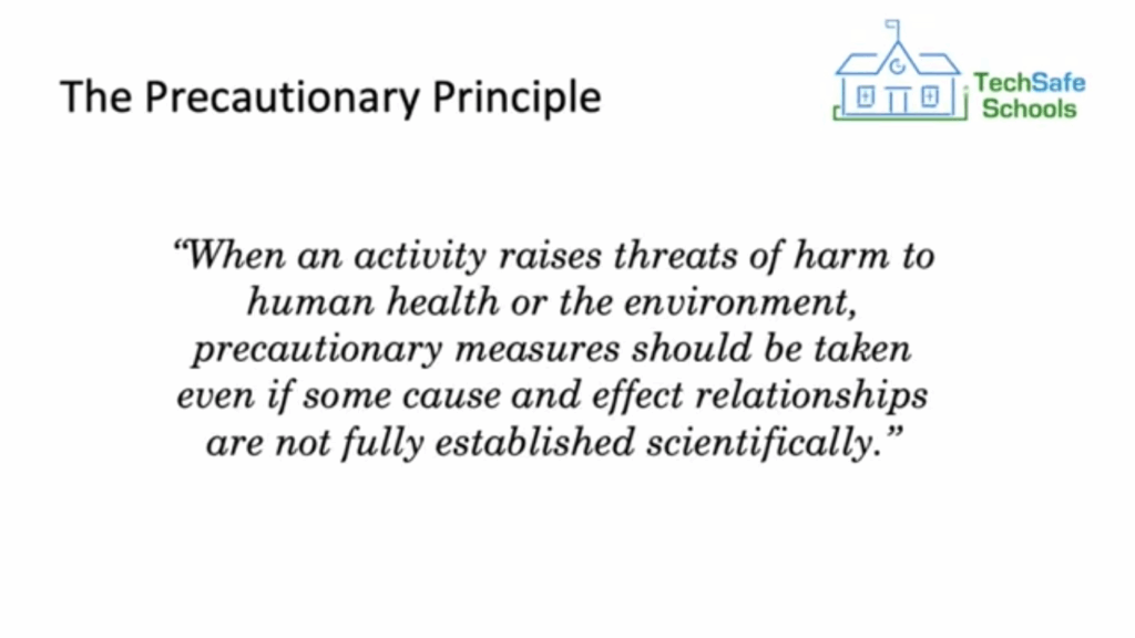 the precautionary principle